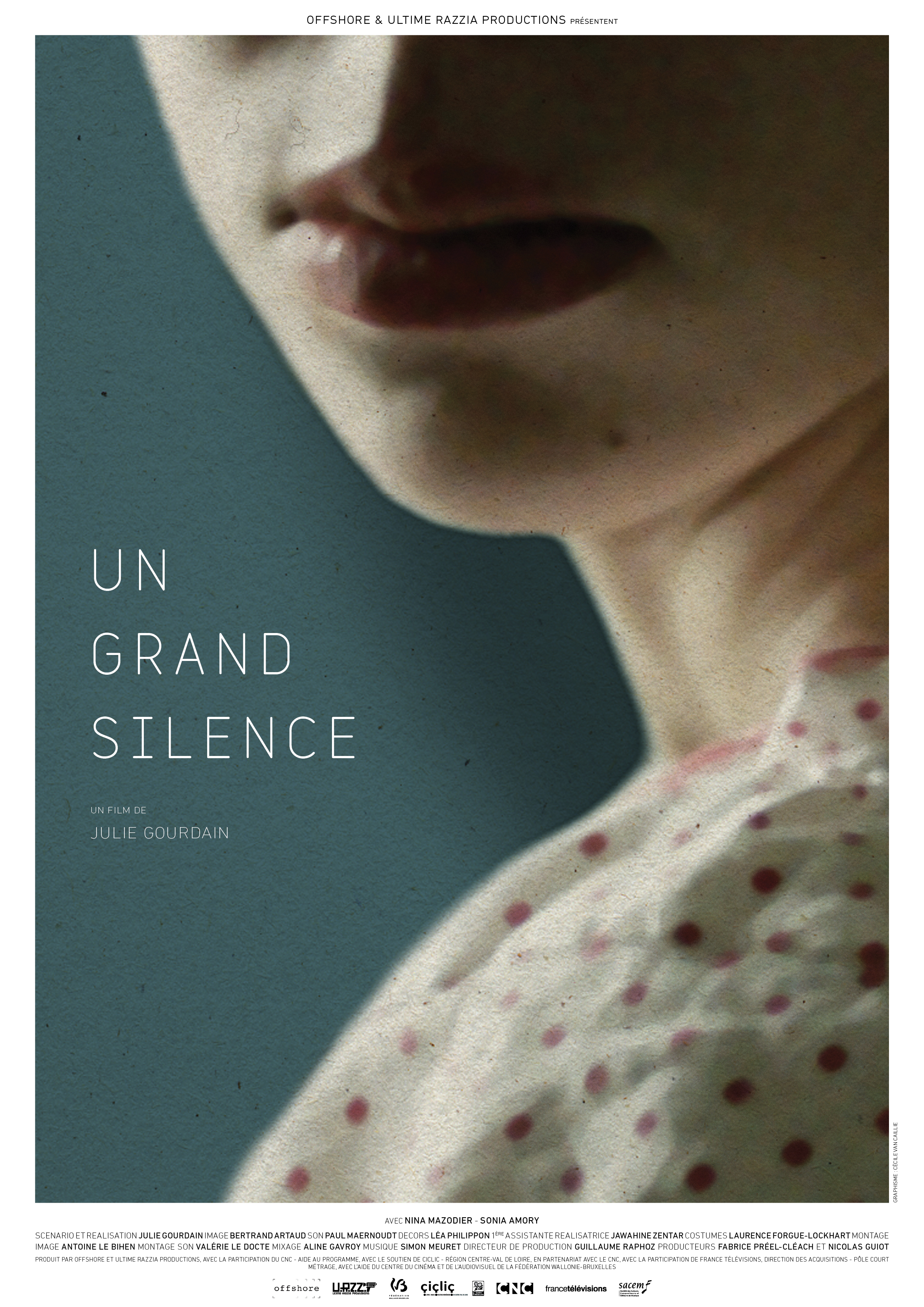 постер Un grand silence (Veil of Silence)